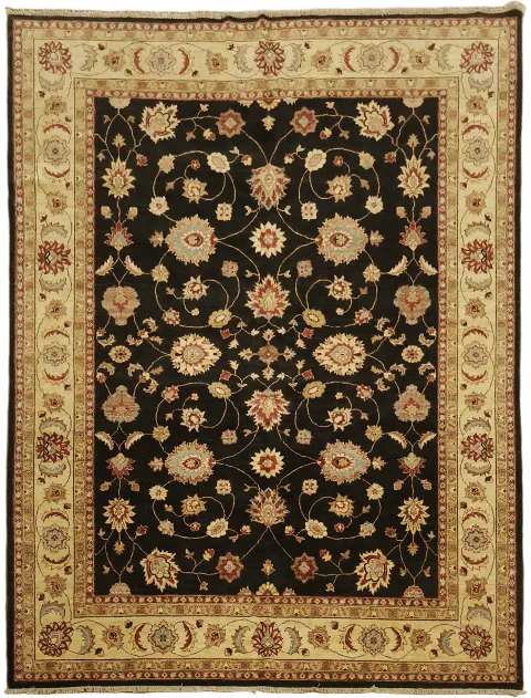Black Peshawar Oriental Area Wool Rug 9x12