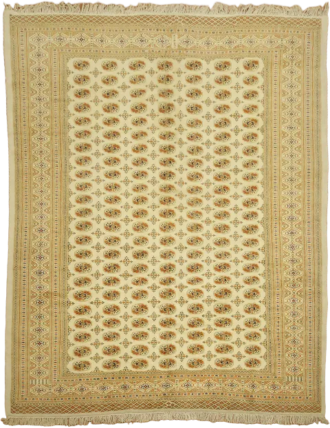 Bokhara Oriental Area Wool Rug 10x13