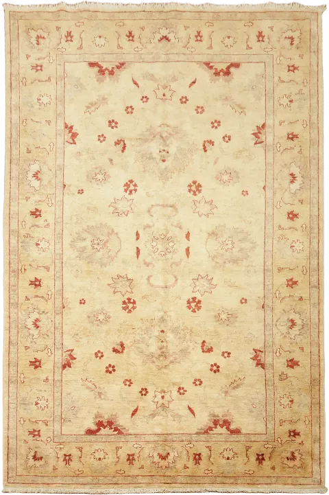 Peshawar Oriental Area Wool Rug 7x10