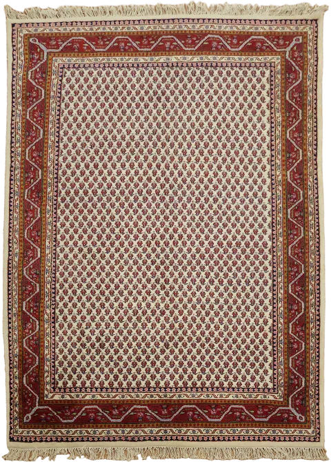 Wool All Over Botemir Oriental Area Rug 6x8