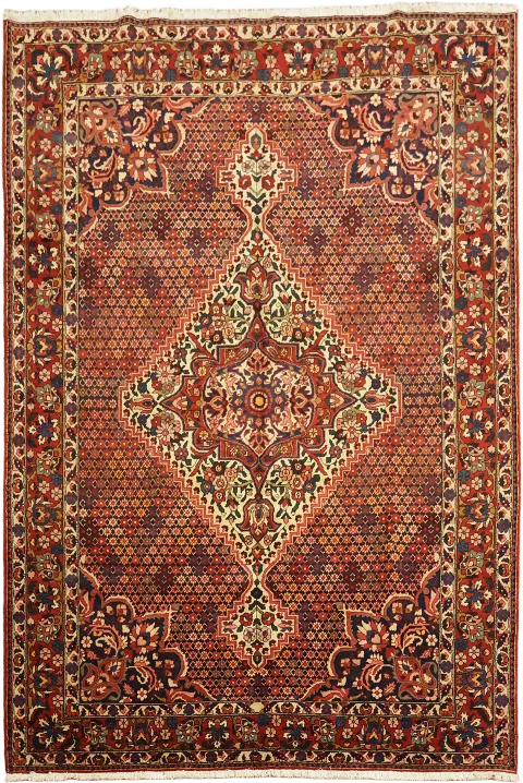 Bakhtiari Persian Area Wool Rug 7x11