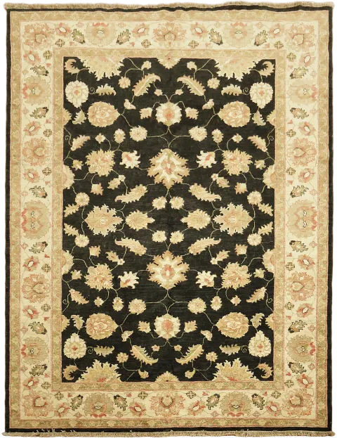 Black Peshawar Oriental Area Wool Rug 7x10