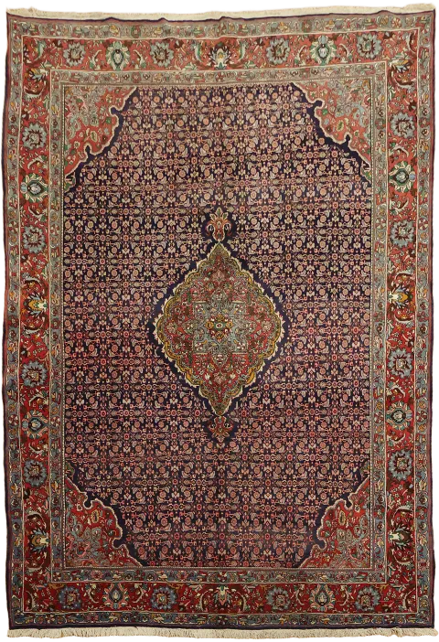 Wool Blue Bidjar Persian Area Rug 8x11