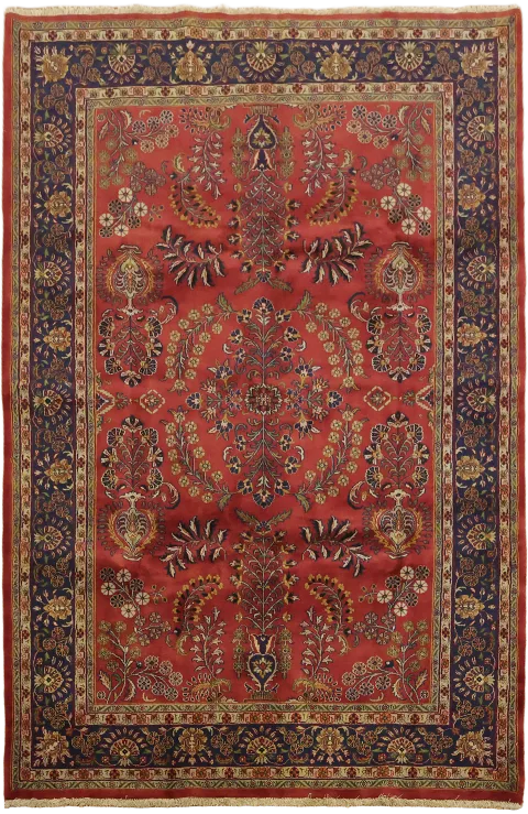 Sarouk Oriental Tribal Wool Area Rug 6x9