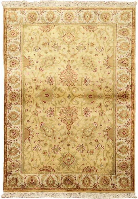 All Over Floral Agra Oriental Wool Rug 4x6