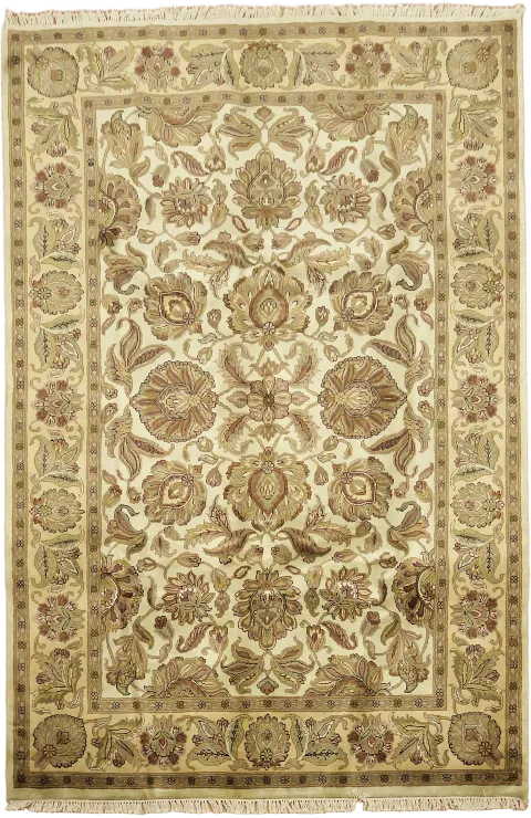 Floral Agra Oriental Area Wool Rug 6x9