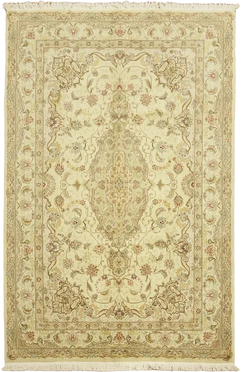 Tabriz Oriental Area Wool Rug 6x9
