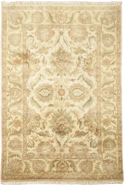 Wool Floral Agra Oriental Area Rug 6x9
