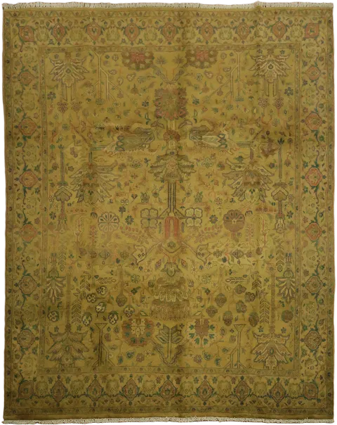 Agra Oriental Wool Area Rug 8x10