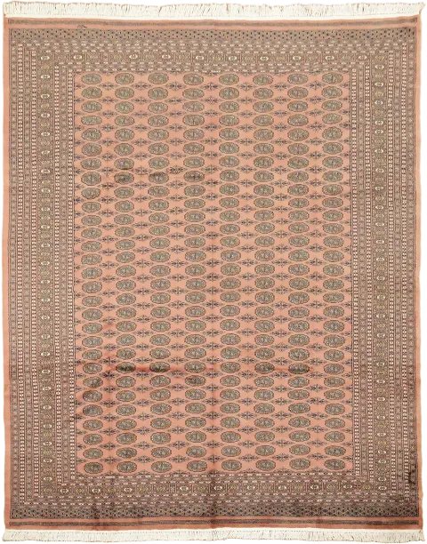 Geometric Wool Bokhara Oriental Area Rug 9x12
