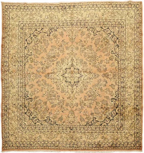 Vintage Wool Sarouk Persian Area Rug 10x11