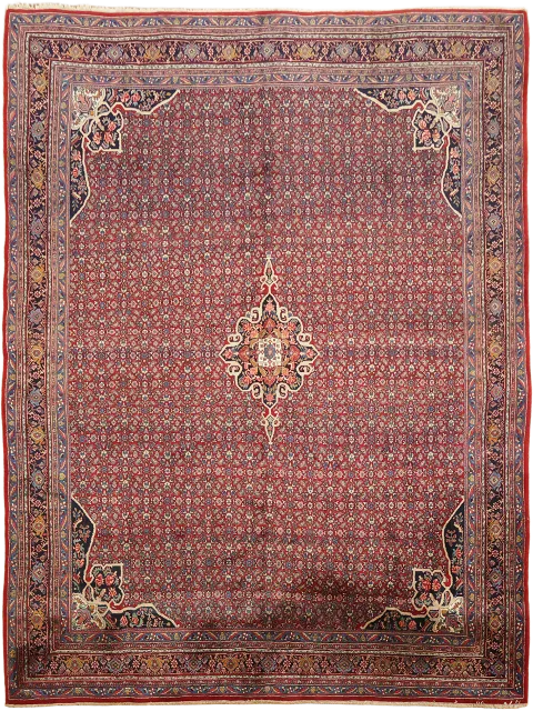 Vegetable Cue Tribal Vintage Wool Bidjar Persian Area Rug 9x12