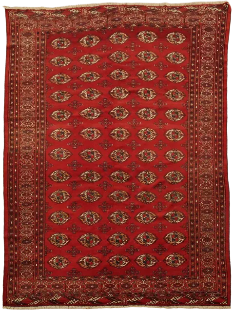 Wool Tribal Bokhara Oriental Area Rug 7x9