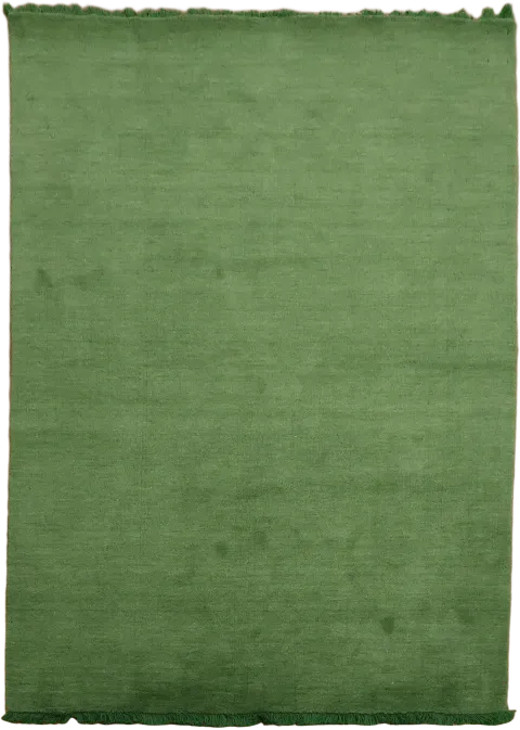 Gabbeh Hand-Knotted Rug in Lush Green 5x7
