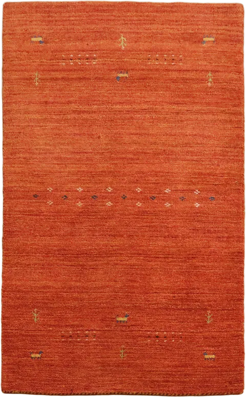 Orange Gabbeh Oriental Rug 3x5
