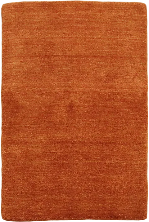 Vivid Orange Gabbeh Oriental Rug 2x3