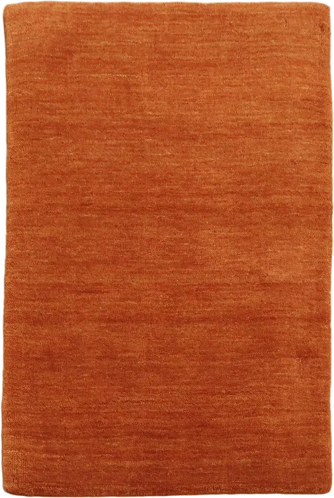 Rich Burnt Orange Gabbeh Rug 2x3