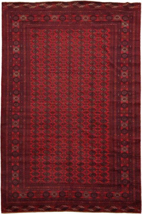 Balouch Oriental Area Rug 7x10