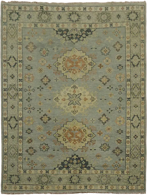 Traditional Blue and beige with Green Rug ideal for living room decor 9x12