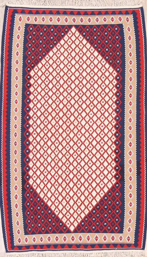 Geometric Ivory Tribal Nomad 4x6 Kilim Sanandaj Persian Area Rug