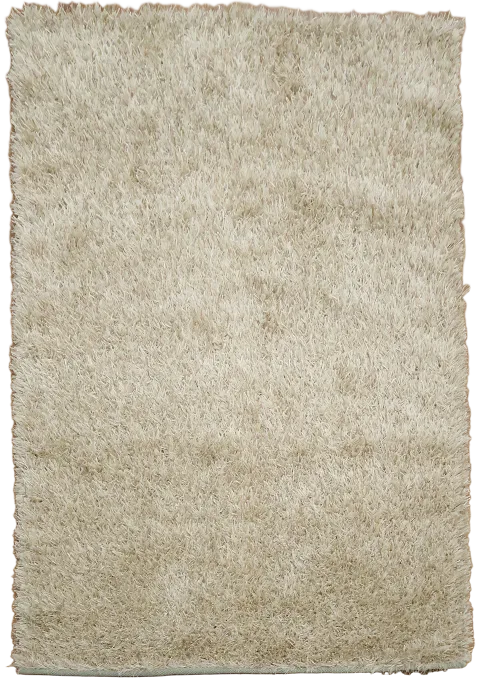 Beige Shaggy Shag Area Rug 5x7