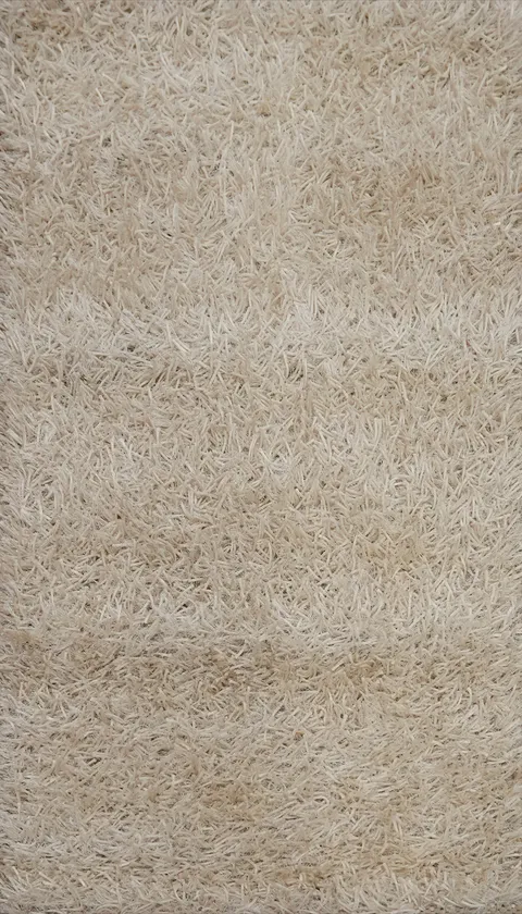 Ivory Shaggy Shag Foyer Rug 2x3