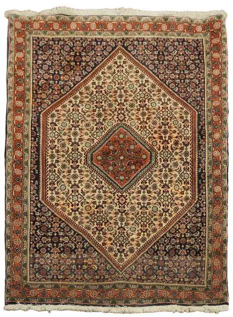 Geometric Bidjar Persian Area Rug 4x5