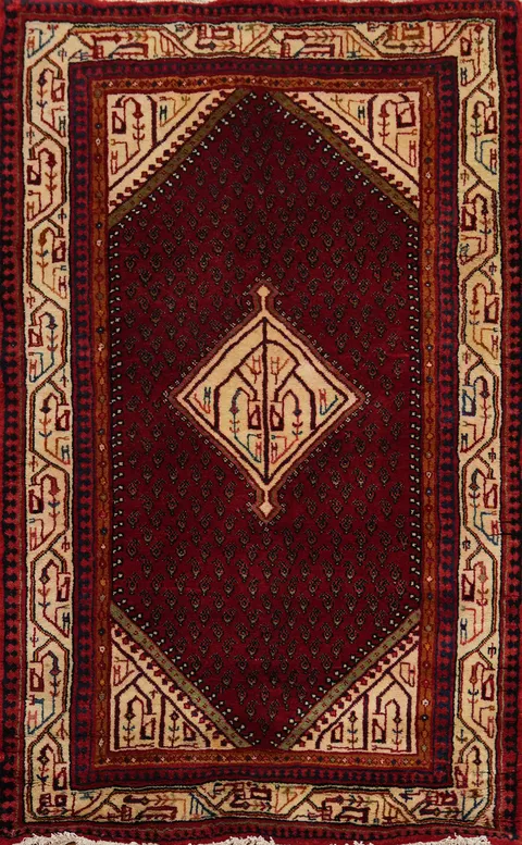 Geometric Red Botemir Persian Rug 4x6
