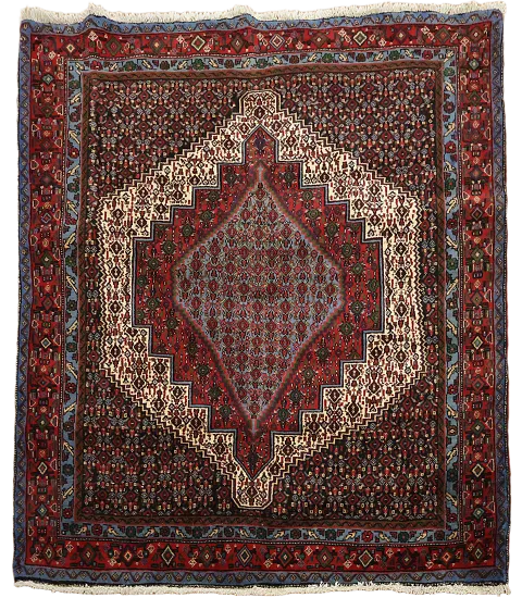 Geometric Bidjar Persian Area Rug 4x5