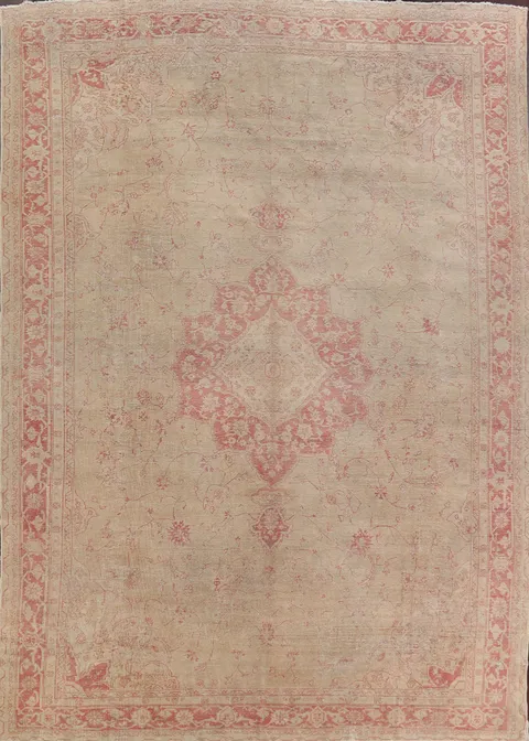 Pre-1900 Antique Elegant Beige and Red Oriental Rug 11x15