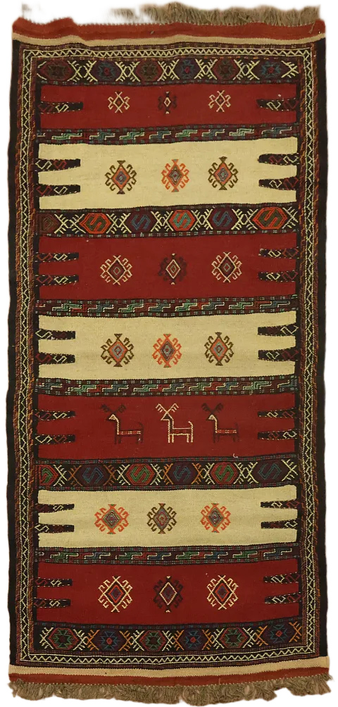 Tribal Sumak Kilim Hand-Woven Persian Area Rug 3x6
