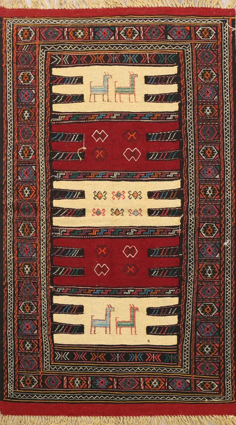 Tribal Sumak Kilim Hand-Woven Persian Area Rug 3x6