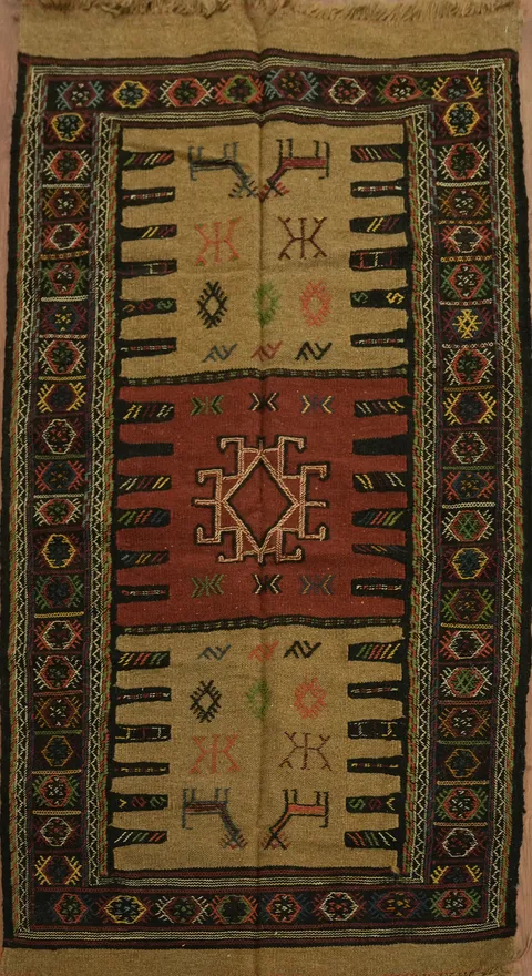 Bold Tribal Design Kilim Persian Rug in Earthy Colors for a Rustic Touch 3x6