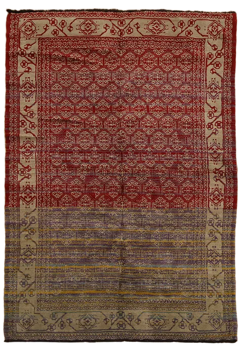 5x7 Modern Persian Area Rug