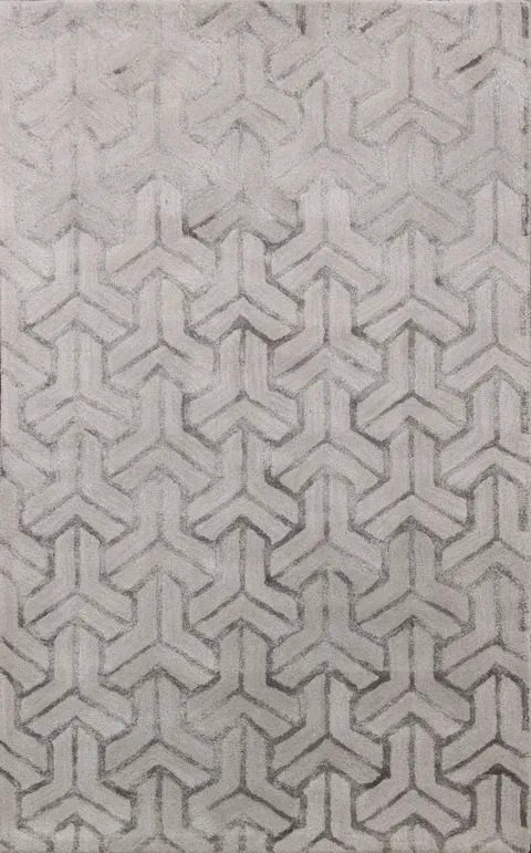 Modern Trellis Oriental Area Rug 4x6