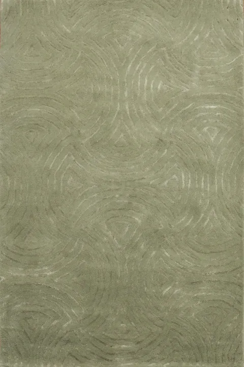 Contemporary Green Rug with Swirl Patterns for a Chic Look 4'x6'