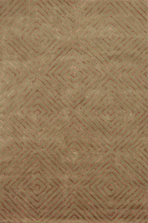 Modern Trellis Oriental Area Rug 4x6