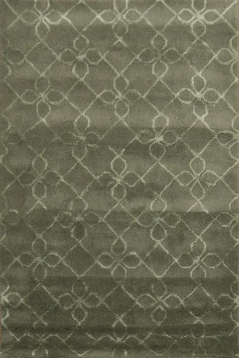 Modern Trellis Oriental Area Rug 4x6