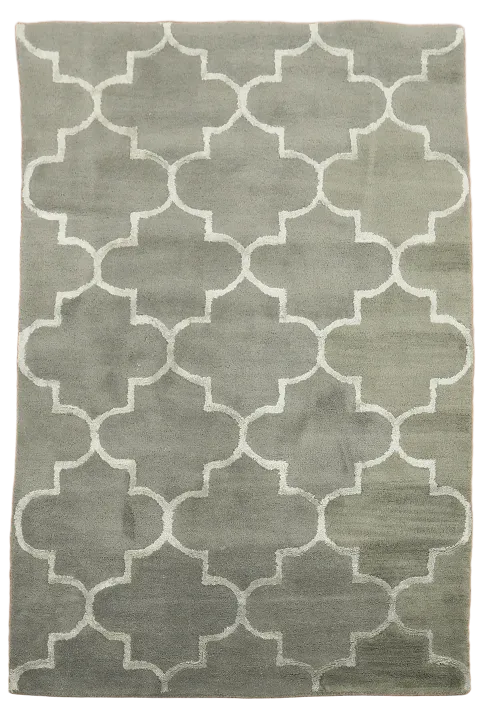 Modern Trellis Oriental Area Rug 4x6