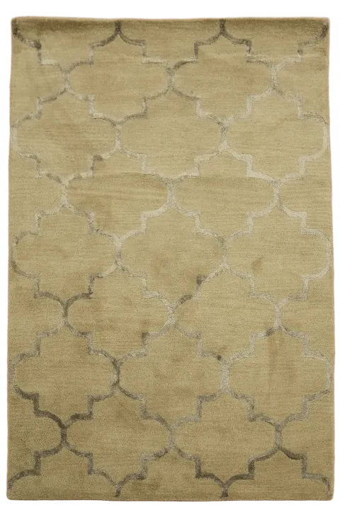 Modern Trellis Oriental Wool Rug 4x6