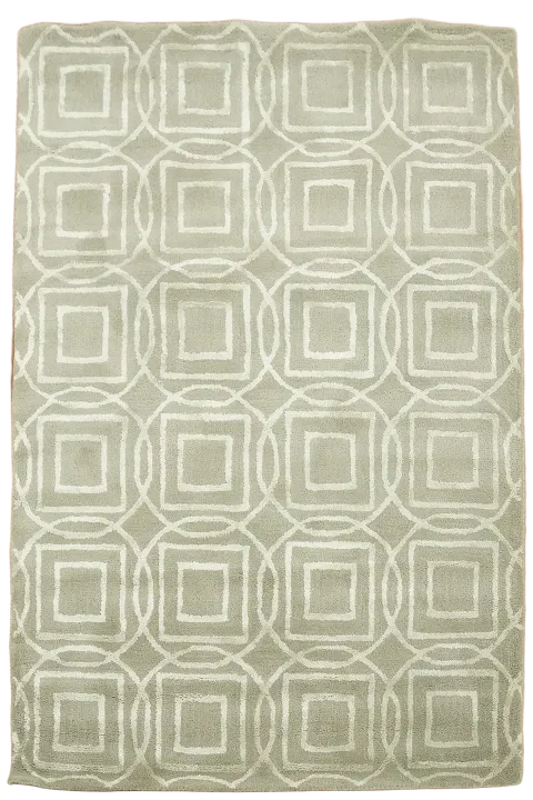 Modern Trellis Oriental Area Rug 4x6