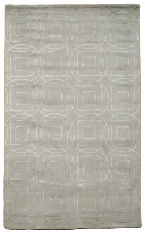 Modern Trellis Oriental Area Rug 5x8
