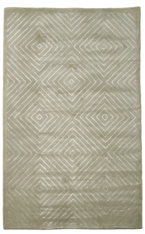 Modern Trellis Oriental Area Rug 5x8