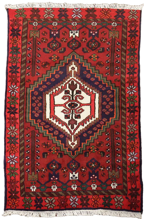 Traditional Red Hamedan Persian Wool Rug 3'x5'