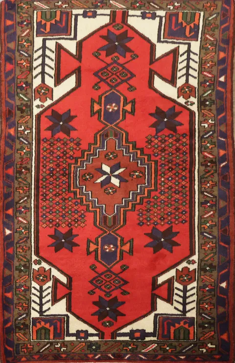 Geometric Hamedan Persian Area Rug 3x5