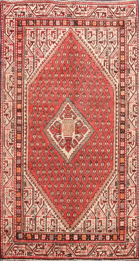 Paisley Botemir Persian Area Rug 3x6