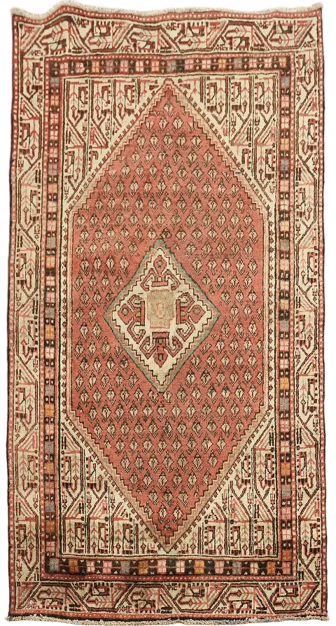 Paisley Botemir Persian Area Rug 3x6