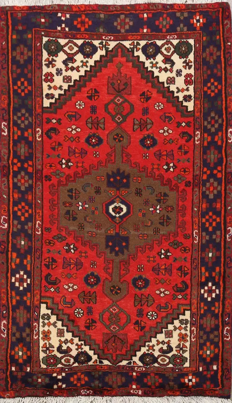 Hamedan Persian Area Rug 3x5