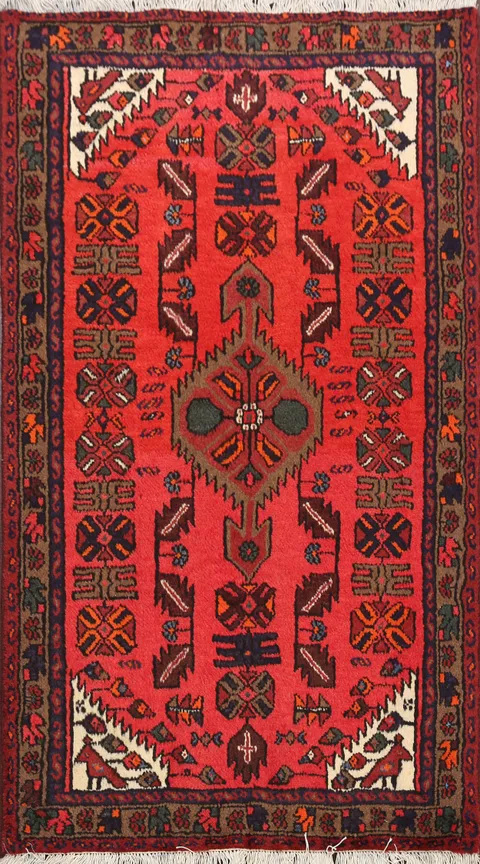 Hamedan Persian Area Rug 3x5