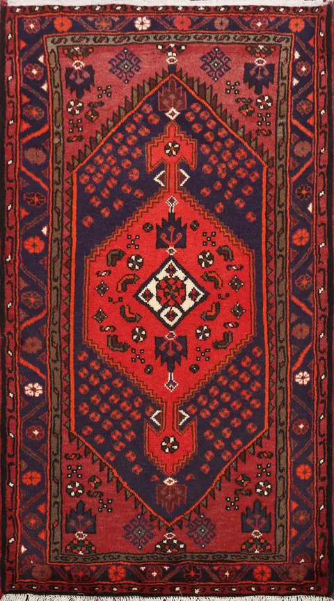 Hamedan Persian Area Rug 3x5